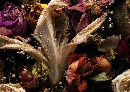 Transience 1