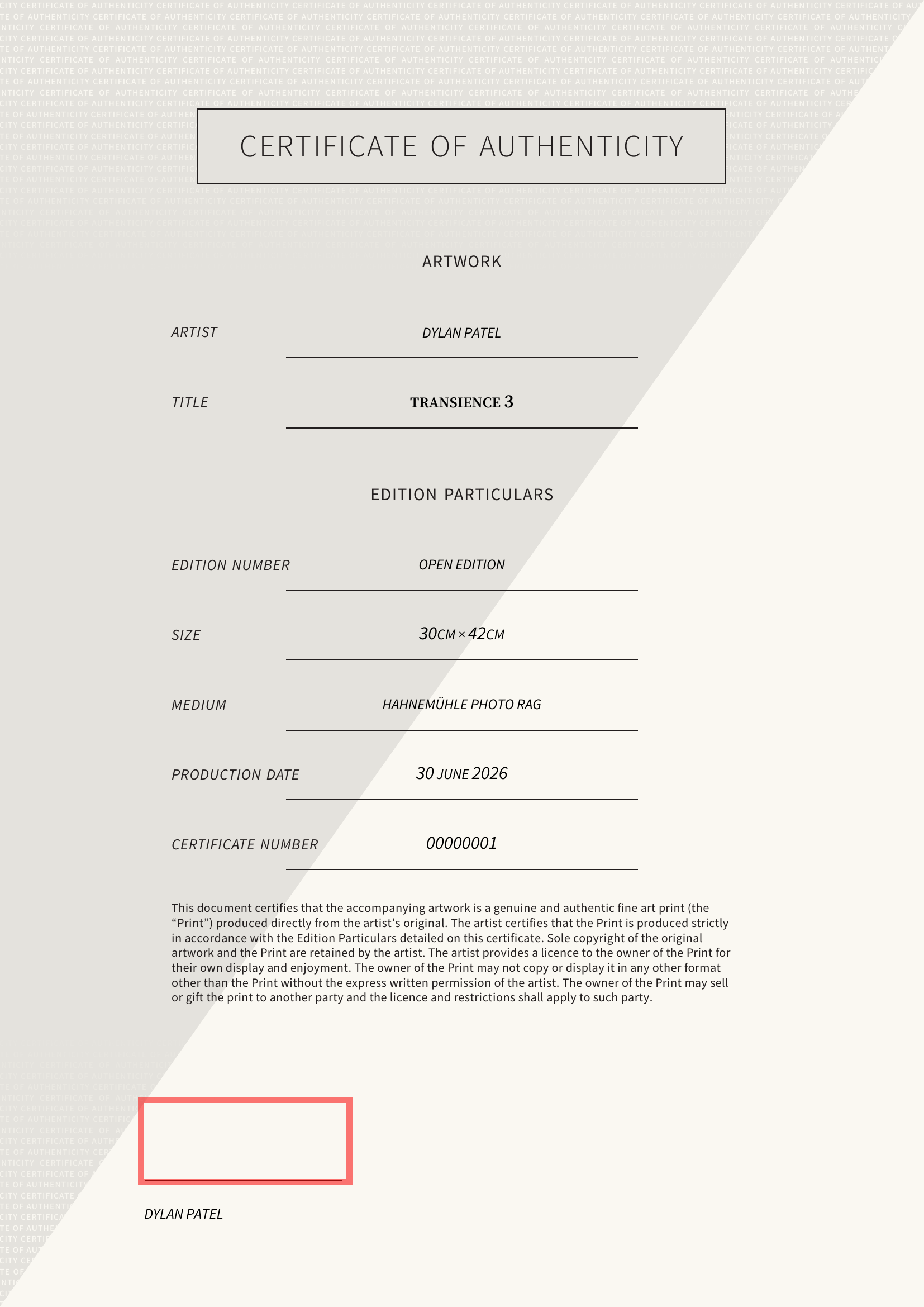 Transience 3 — Certificate of Authenticity