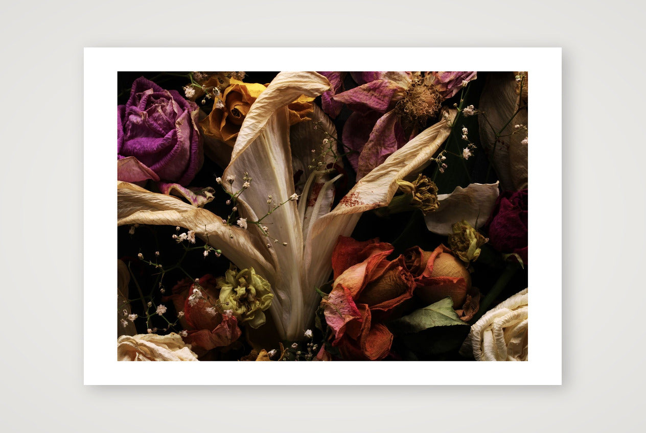 Transience 1 — 17×12" Print only