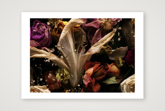 Transience 1 — 17×12" Print only