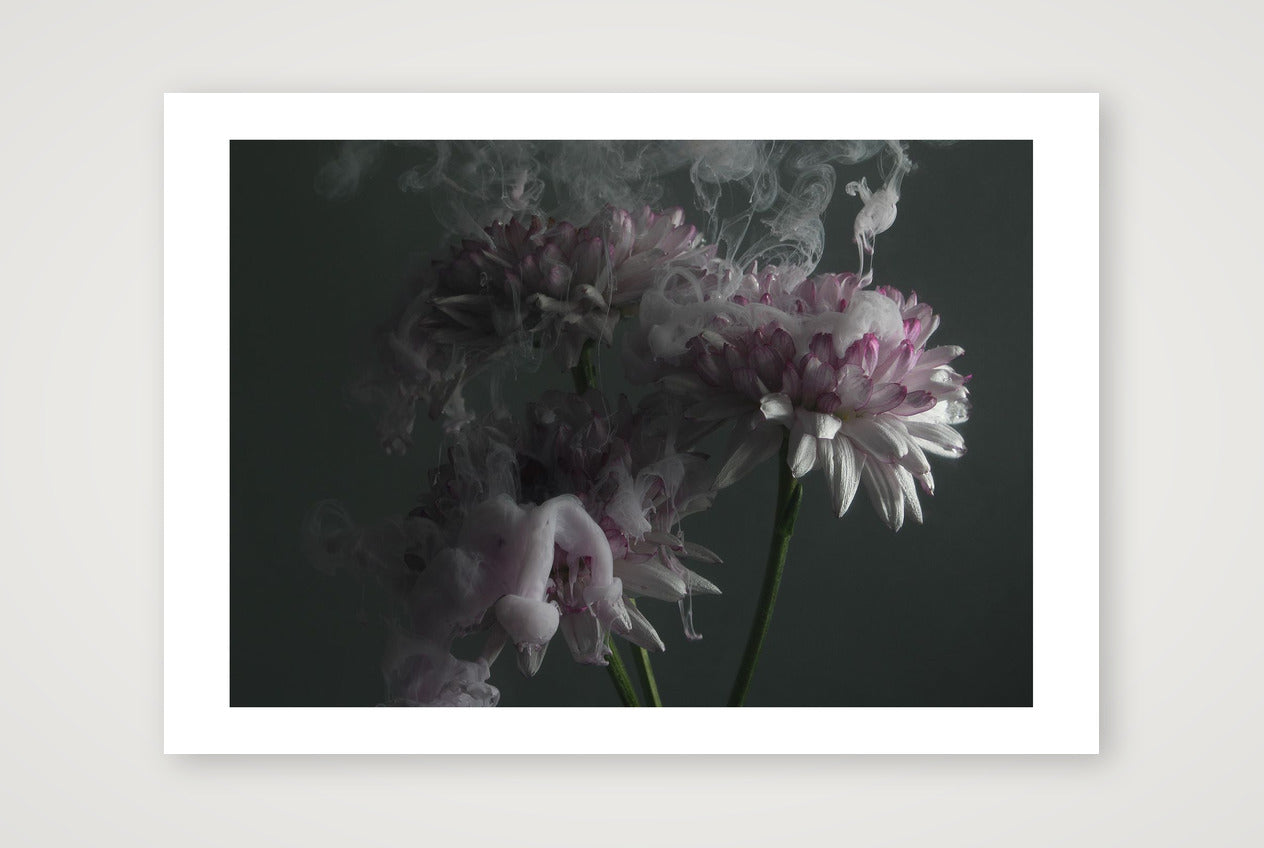 Transience 6 — 17×12" Print only
