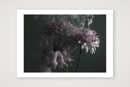 Transience 6 — 12×8" Print only