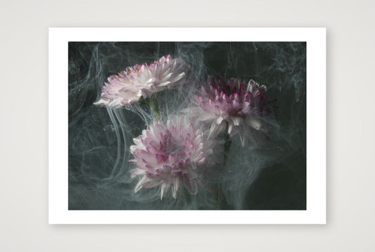Transience 4 — 17×12" Print only