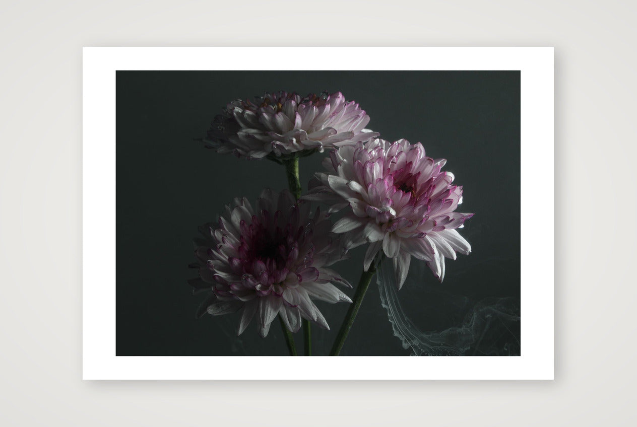 Transience 5 — 17×12" Print only