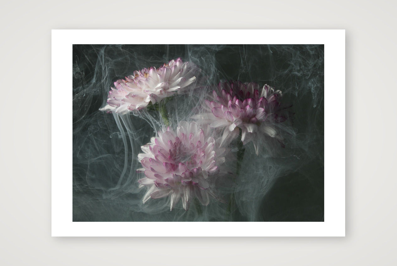 Transience 4 — 12×8" Print only