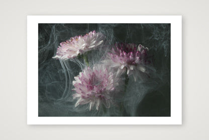 Transience 4 — 12×8" Print only