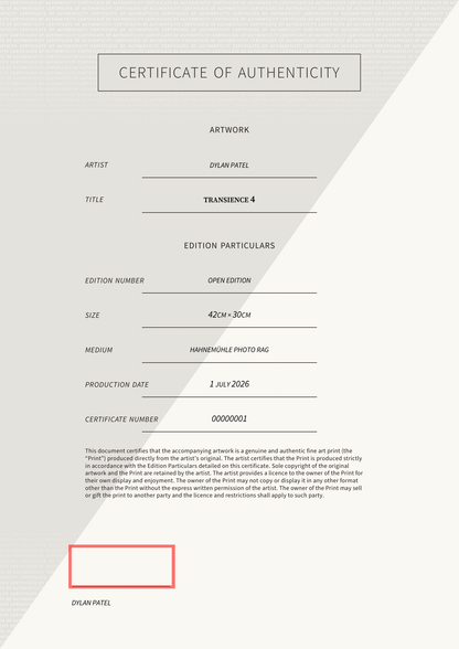 Transience 4 — Certificate of Authenticity